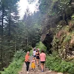 Appartement Très Dans Belle Résidence, Classé 3 étoiles Par Le Comité Départementale Du Tourisme En Haute Garonne *