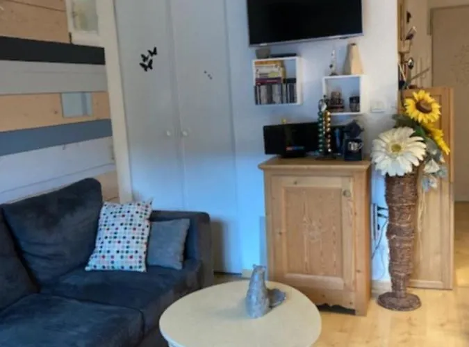 Appartement Tres Agreable Dans Belle Residence, Classe 3 Etoiles Par Le Comite Departemental Du Tourisme En Haute Garonne *