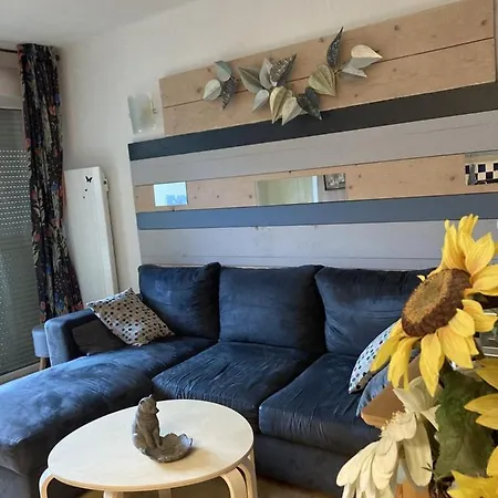 Très Dans Belle Résidence, Classé 3 étoiles Par Le Comité Départementale Du Tourisme En Haute Garonne Apartamento