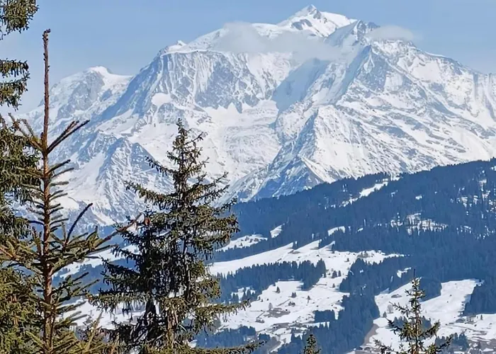 Tres Agreable Dans Belle Residence, Classe 3 Etoiles Par Le Comite Departemental Du Tourisme En Haute Garonne *